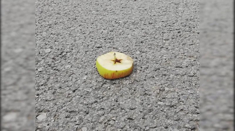 Nástraha v Pelhřimově