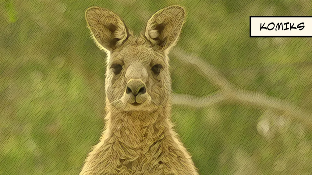 Přemnožení klokani dělí Austrálii