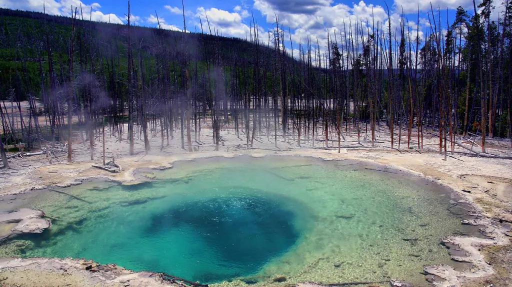 Okolí Norrisova gejzíru