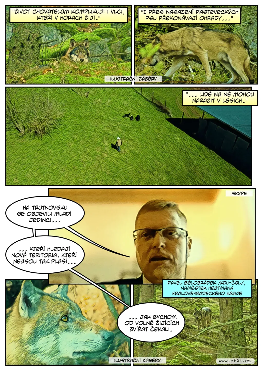 Chovatele ovcí mají obavy z vlků