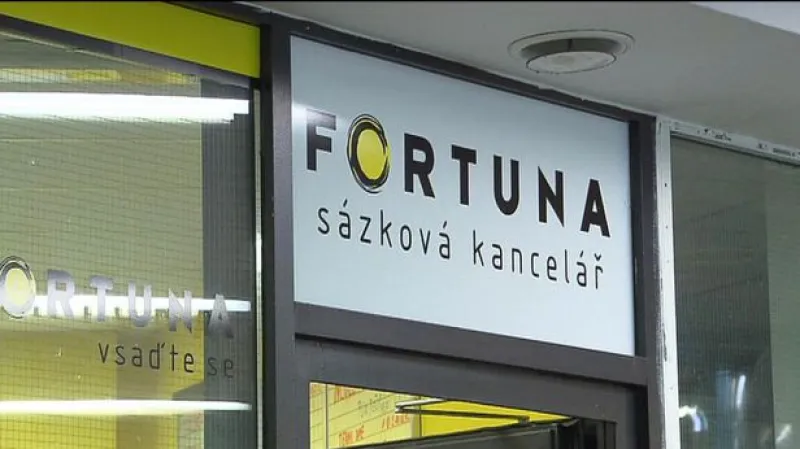 Fortuně loni meziročně klesl čistý zisk
