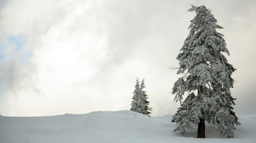 Ilustrační snímek