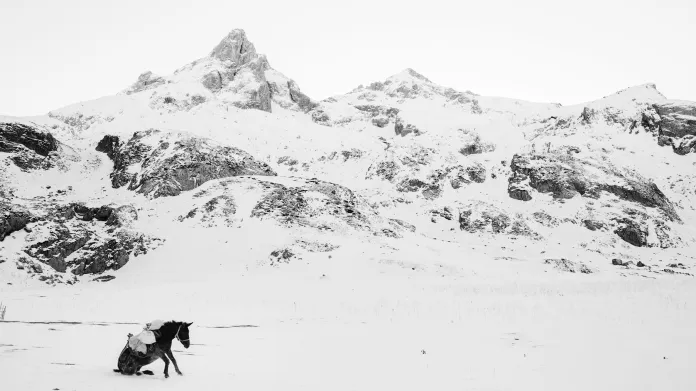 Absolutní vítěz fotograf roku 2017 Frederik Buyckx a jeho snímek osla v zasněžených horách Albánie.