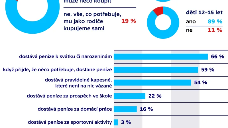 Dostává od vás jako rodičů vaše dítě kapesné?