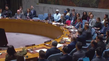 Rezoluce o Palestině