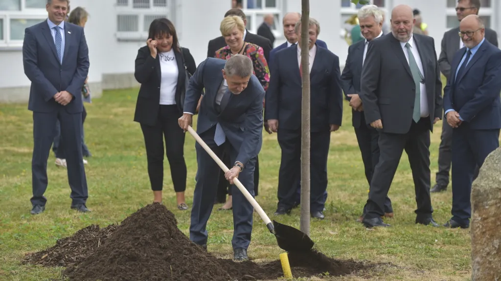 Před zahájením dožínek zasadil premiér s dalšími představiteli státu a zemědělců před výstavištěm Lípu republiky