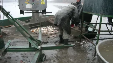 V rybníku bylo málo ryb