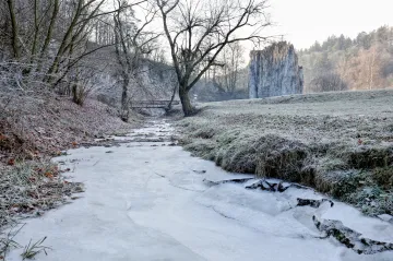 Kvůli bezpečnosti kácí lesníci v chráněném Moravském krasu. Zmizí přes 200 stromů