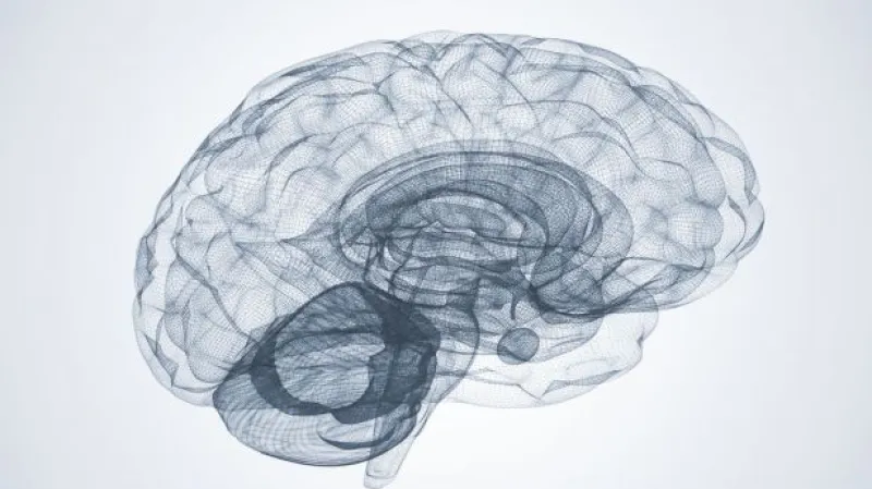 Neurolog o norském nalezenci: Zřejmě utrpěl úraz mozku