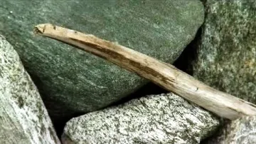 Předvikinský nástroj pro nahánění sobů k lučištníkům