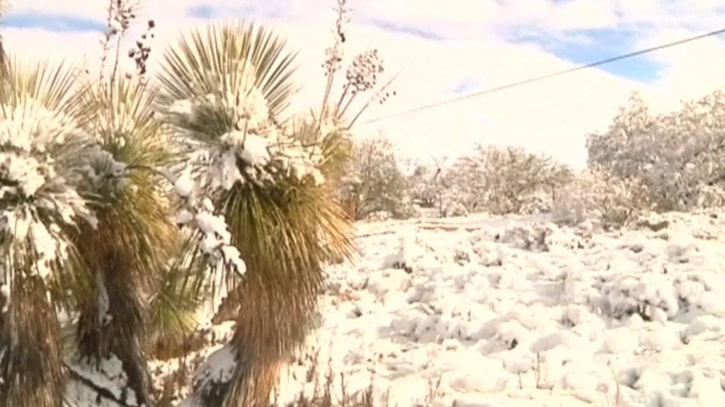 Sníh v Arizoně