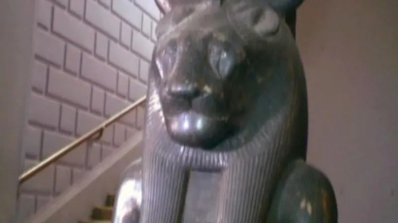 Reportáž Dany Zlatohlávkové