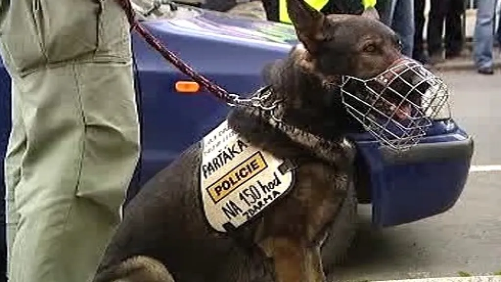 Demonstrace policistů