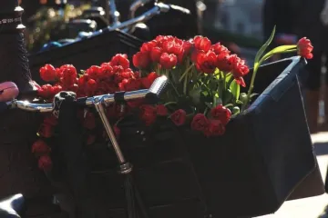 Krásy Amsterdamu nejlépe vyniknou z cyklistického sedla