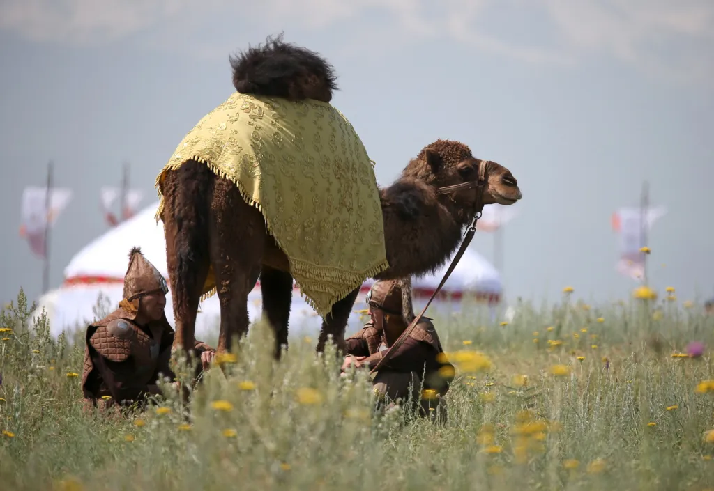 Muži v oblečení mongolských nájezdníků odpočívají ve stínu velblouda