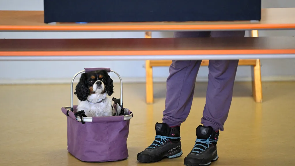 Parlamentní volby v Česku