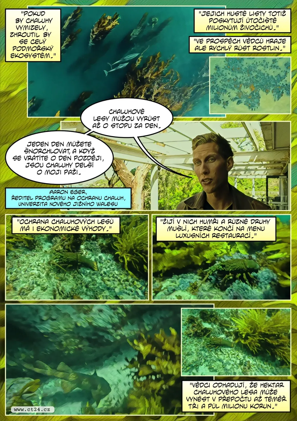 Boj s úhynem chaluh