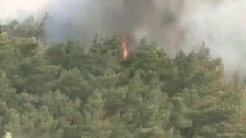 Hořící porost na řeckém ostrově Rhodos