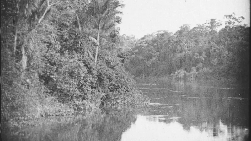 Divy veletoku Amazonky