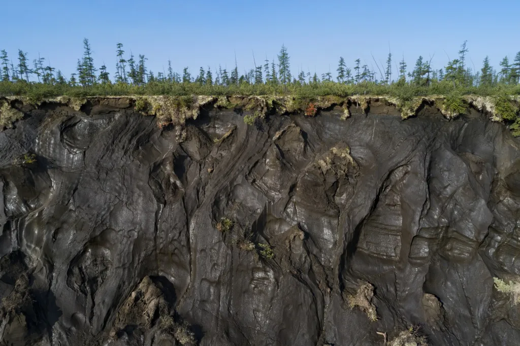 Permafrost je zamrzlá půda pokrývající 24 % plochy země na severní polokouli a zahrnuje rozsáhlé území přes Aljašku, Kanadu, Sibiř a Grónsko