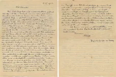 Einstein se už v roce 1922 bál o budoucnost Německa. Jeho dopis se teď vydražil skoro za milion
