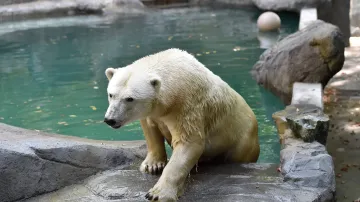 Zoo Brno slaví výročí 70. let od svého vzniku