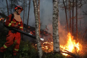 Lesy umírají také v Mongolsku. Krizi se snaží předejít brněnští vědci