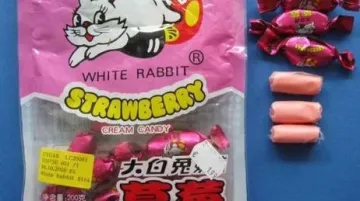 Bonbony White Rabbit