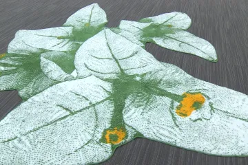 Květinová unie. Výzdoba českého předsednictví symbolizuje jednotu a ekologii