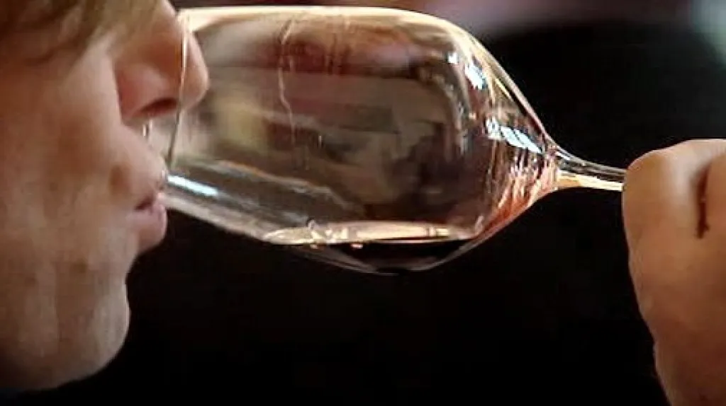 Degustace vín