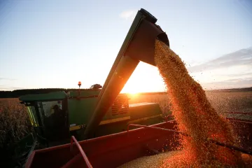Změny klimatu mohou českým zemědělcům pomoci, ukazuje výzkum. Nutná je ale příprava