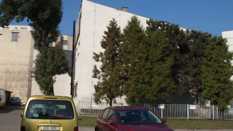 Helmut Smits / Prořezané v linii