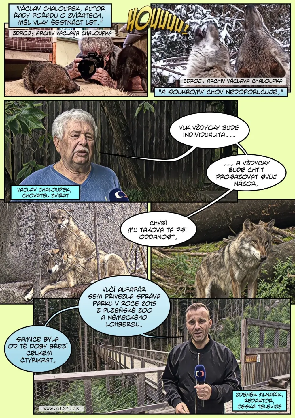 Šumavskou rezervaci trápí přemnožení vlci. I přes podanou antikoncepci dál rodí mláďata