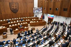 Slovensko odkládá hlasování o změně ústavy