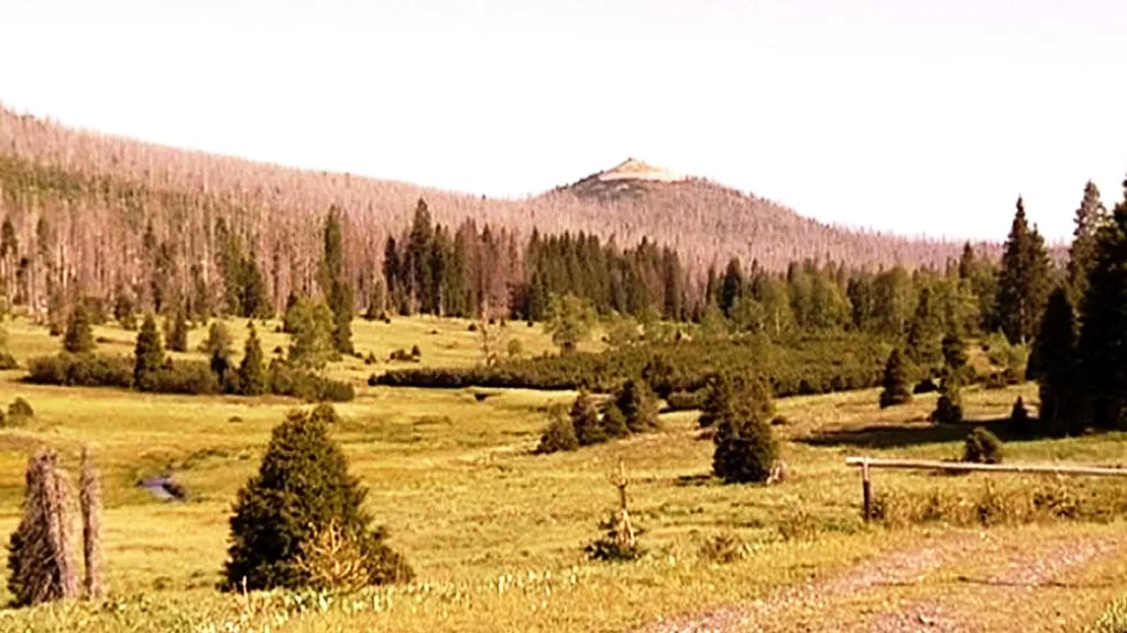 Šumava