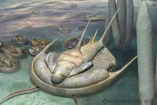 Tyranosaurus mezi trilobity. Paleontologové objevili v Austrálii obří fosilii
