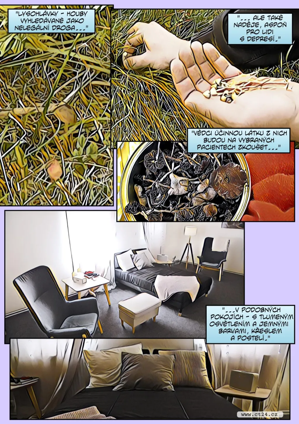 Účinná látka z lysohlávek jako lék na vážné deprese. Extrakt z hub testují v NÚDZu