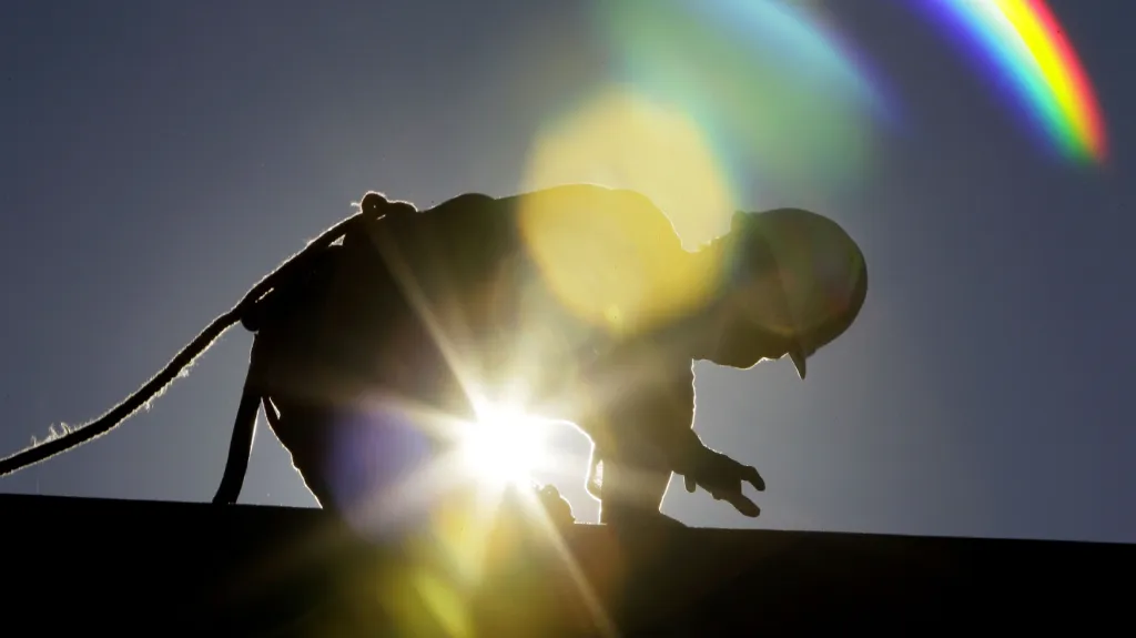 Matka mladíka, který zemřel na brigádě, by měla dostat odškodné