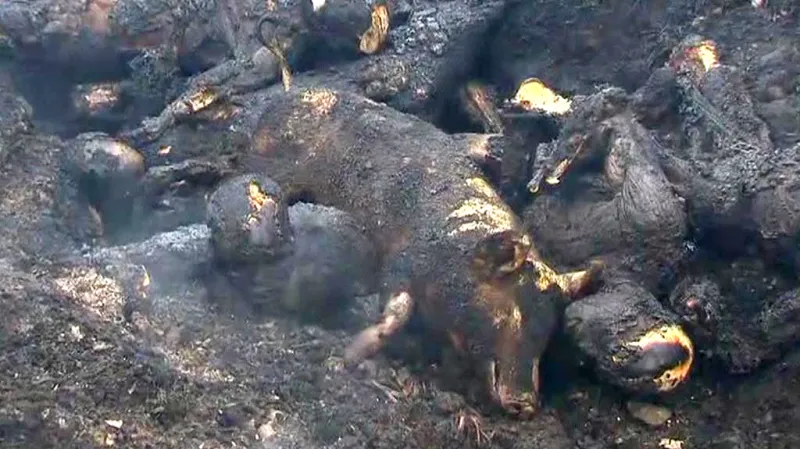 Následky výbuchu ropovodu v keňském Nairobi