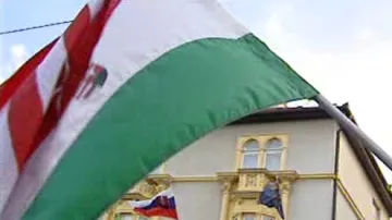 Maďarská a slovenská vlajka