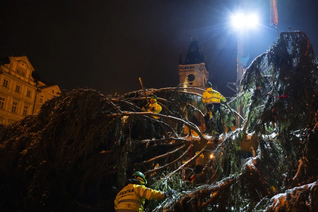 Na pražském Staroměstském náměstí ukotvili vánoční strom