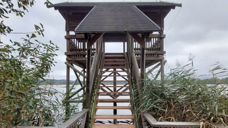 Pozorovatelna u Novozámeckého rybníka