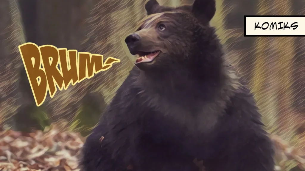Medvědi na Slovensku