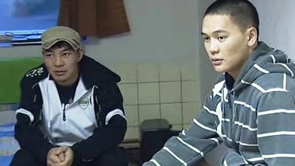 Vietnamská komunita v Česku