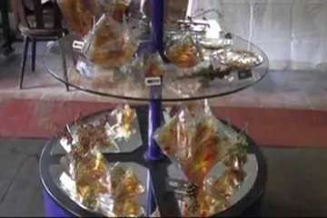 9. ročník sklářských trhů v Heřmanicích