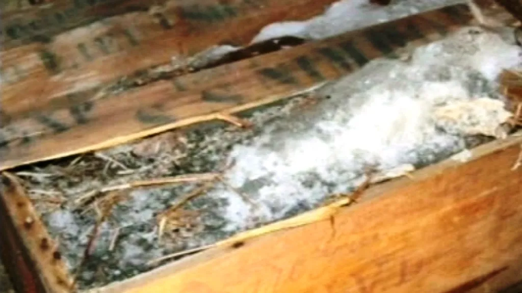 Whisky Mackinlay vykopaná z antarktického ledu