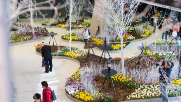 V Olomouci začala jarní etapa květinové výstavy Flora