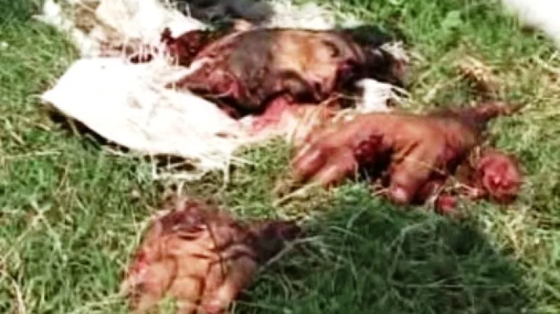 Následky sebevražedného útoku v Pákistánu