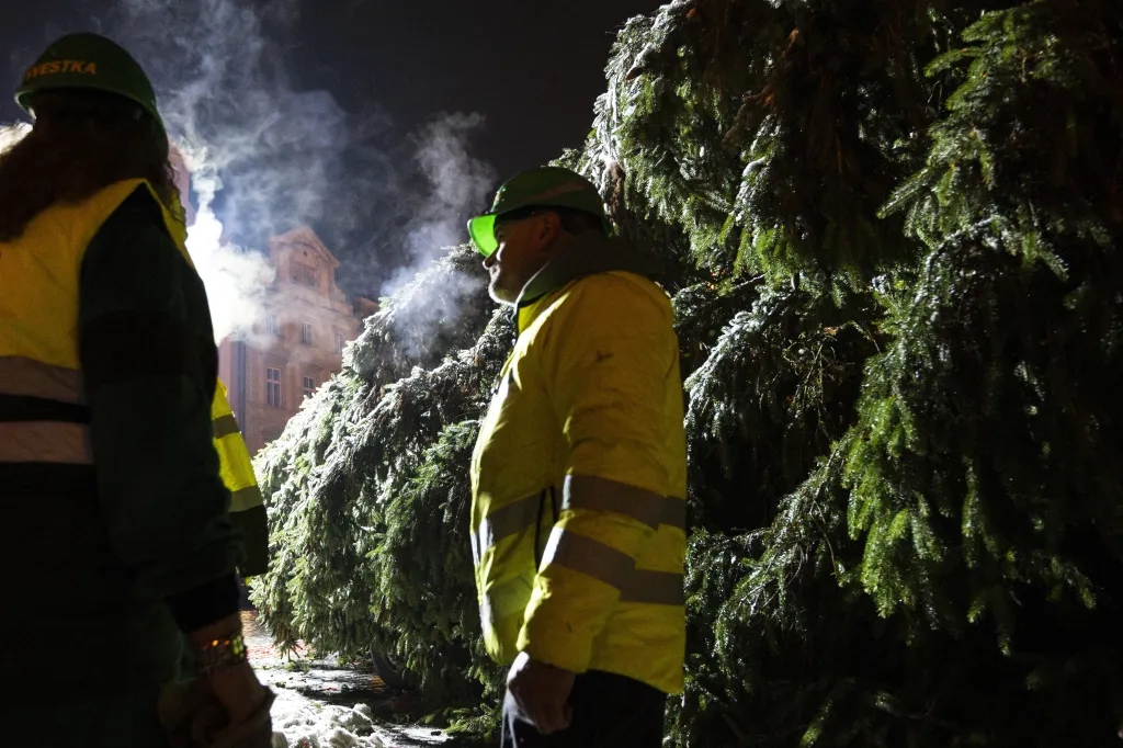 Na pražském Staroměstském náměstí ukotvili vánoční strom