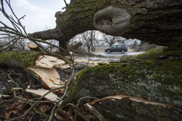 Lesníci začínají hlásit škody po bouři Sabina. Státní podnik má téměř milion poškozených stromů